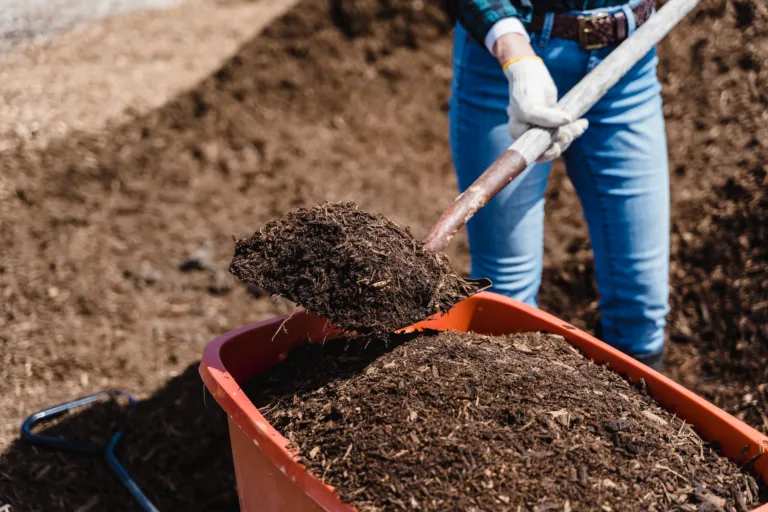 how to maintain your compost